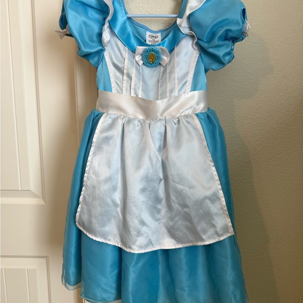 Disney Alice and Wonderland Kids Costume
